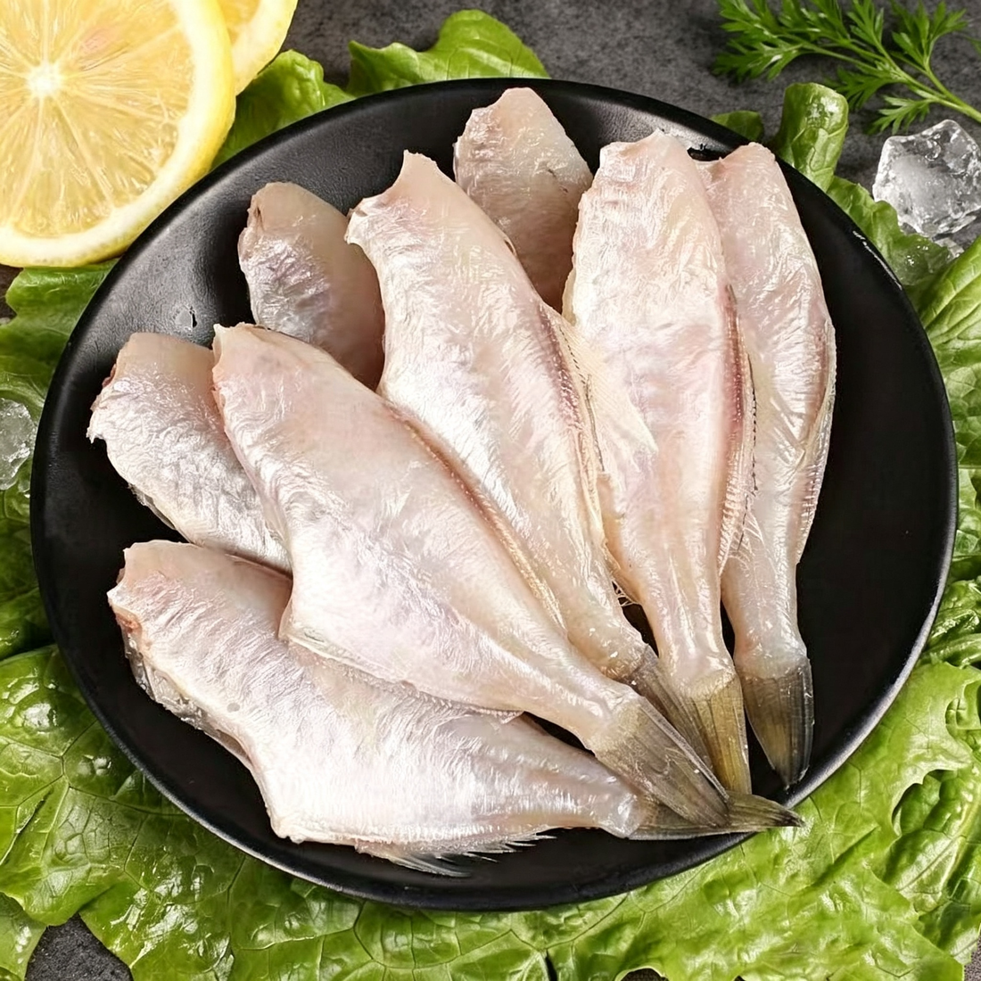 Jacket Fish